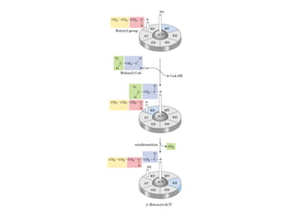 21 biosíntesis de lípidos