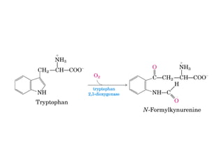 21 biosíntesis de lípidos