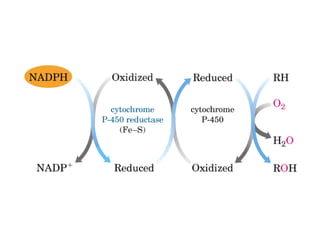 21 biosíntesis de lípidos