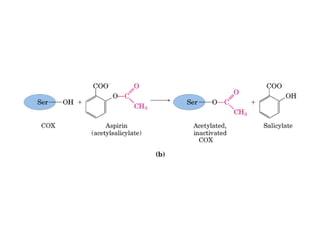 21 biosíntesis de lípidos