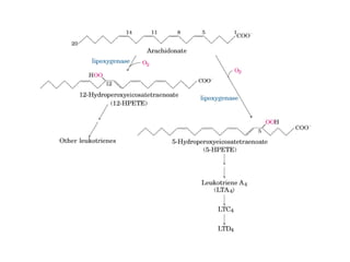 21 biosíntesis de lípidos