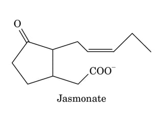 21 biosíntesis de lípidos