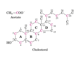 21 biosíntesis de lípidos
