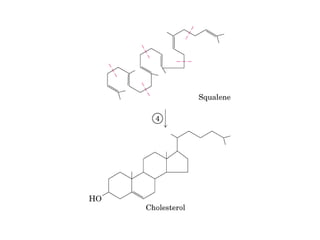 21 biosíntesis de lípidos