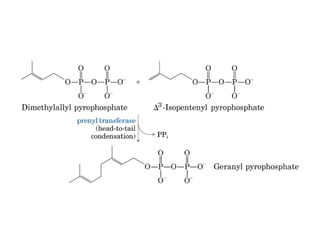 21 biosíntesis de lípidos