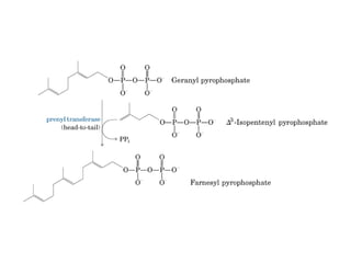 21 biosíntesis de lípidos