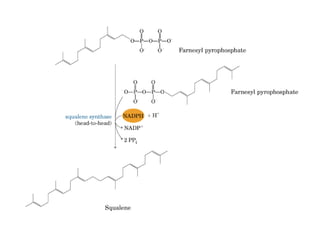 21 biosíntesis de lípidos