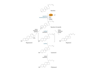 21 biosíntesis de lípidos