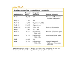 21 biosíntesis de lípidos