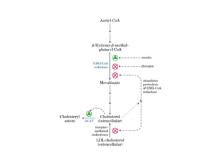 21 biosíntesis de lípidos
