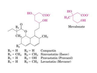 21 biosíntesis de lípidos