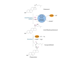 21 biosíntesis de lípidos