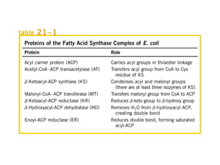 21 biosíntesis de lípidos