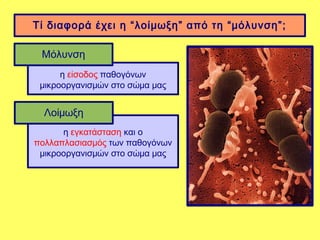 Τί διαφορά έχει η “λοίμωξη” από τη “μόλυνση”;

 Μόλυνση
      η είσοδος παθογόνων
 μικροοργανισμών στο σώμα μας


  Λοίμωξη
      η εγκατάσταση και ο
πολλαπλασιασμός των παθογόνων
 μικροοργανισμών στο σώμα μας
 