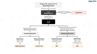 Gastro intestinal Bowel Obstruction [Slides].pdf