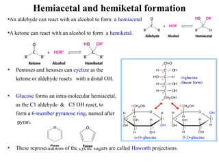 21BTC101T - Biochemistry -Unit - I.pptxx | PPTX