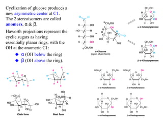 21BTC101T - Biochemistry -Unit - I.pptxx | PPTX