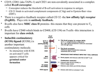 21BTC302J-UNIT 2 Immunology 2024 revised ed | PPTX
