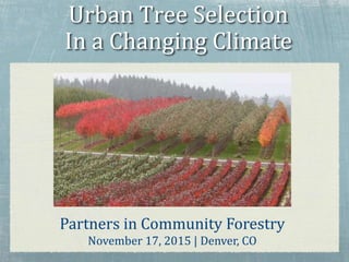 Urban Tree Selection
In a Changing Climate
Partners in Community Forestry
November 17, 2015 | Denver, CO
 