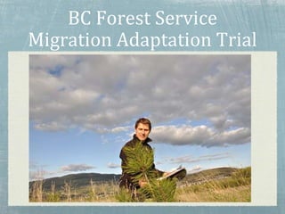 BC Forest Service
Migration Adaptation Trial
 