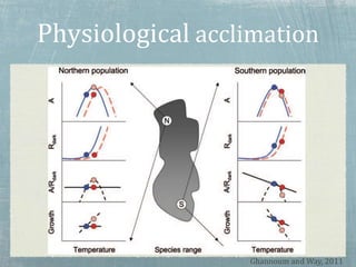 Physiological acclimation
Ghannoum and Way, 2011
 