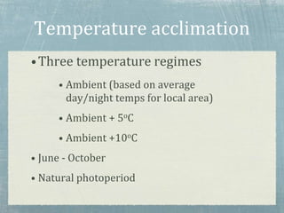 Temperature acclimation
•Three temperature regimes
• Ambient (based on average
day/night temps for local area)
• Ambient + 5oC
• Ambient +10oC
• June - October
• Natural photoperiod
 