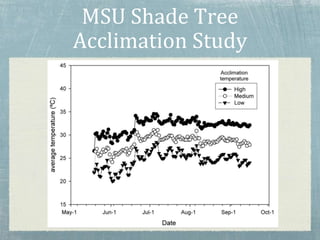 MSU Shade Tree
Acclimation Study
 