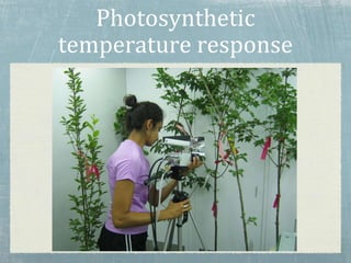 Photosynthetic
temperature response
 