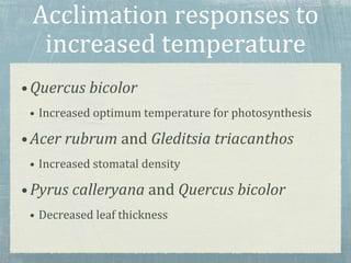 Acclimation responses to
increased temperature
•Quercus bicolor
• Increased optimum temperature for photosynthesis
•Acer rubrum and Gleditsia triacanthos
• Increased stomatal density
•Pyrus calleryana and Quercus bicolor
• Decreased leaf thickness
 