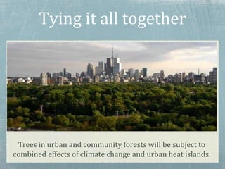 Tying it all together
Trees in urban and community forests will be subject to
combined effects of climate change and urban heat islands.
 