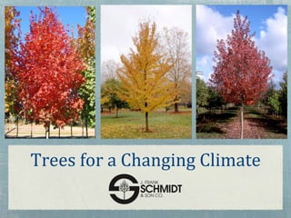Trees for a Changing Climate
 