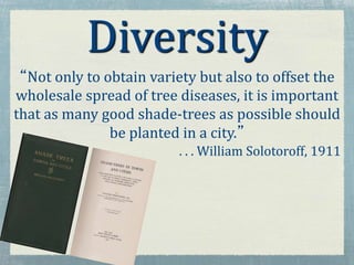 “Not only to obtain variety but also to offset the
wholesale spread of tree diseases, it is important
that as many good shade-trees as possible should
be planted in a city.”
. . . William Solotoroff, 1911
Diversity
 