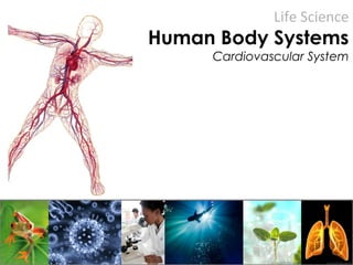 Life Science
Human Body Systems
Cardiovascular System
 