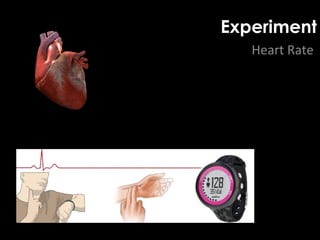 Experiment
Heart Rate
 