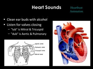 Heart Sounds
• Clean ear buds with alcohol
• Listen for valves closing
– "lub" is Mitral & Tricuspid
– "dub" is Aortic & Pulmonary
Simplified
Animation
Heartbeat
Animation
 