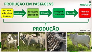 PRODUÇÃO EM PASTAGENS
Hodgson, 1990
Recursos:
solo, clima
e plantas
Forragem
produzida
Forragem
consumida
Produto
Animal
PRODUÇÃO
Crescimento Utilização Conversão
 