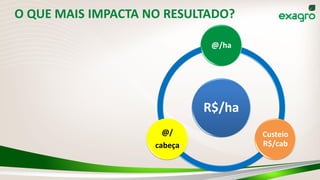 O QUE MAIS IMPACTA NO RESULTADO?
R$/ha
@/ha
Custeio
R$/cab
@/
cabeça
 
