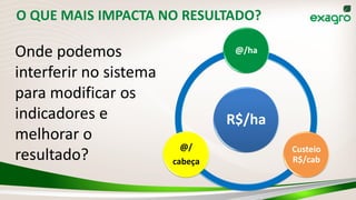 O QUE MAIS IMPACTA NO RESULTADO?
R$/ha
@/ha
Custeio
R$/cab
@/
cabeça
Onde podemos
interferir no sistema
para modificar os
indicadores e
melhorar o
resultado?
 