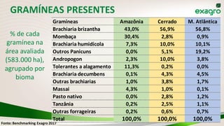 Fonte: Benchmarking Exagro 2017
Gramíneas Amazônia Cerrado M. Atlântica
Brachiaria brizantha 43,0% 56,9% 56,8%
Mombaça 30,4% 2,8% 0,9%
Brachiaria humidícola 7,3% 10,0% 10,1%
Outros Panicuns 0,0% 5,1% 19,2%
Andropogon 2,3% 10,0% 3,8%
Tolerantes a alagamento 11,3% 0,2% 0,0%
Brachiaria decumbens 0,1% 4,3% 4,5%
Outras brachiarias 1,0% 3,8% 1,7%
Massai 4,3% 1,0% 0,1%
Pasto nativo 0,0% 2,8% 1,2%
Tanzânia 0,2% 2,5% 1,1%
Outras forrageiras 0,2% 0,6% 0,7%
Total 100,0% 100,0% 100,0%
GRAMÍNEAS PRESENTES
% de cada
gramínea na
área avaliada
(583.000 ha),
agrupado por
bioma
 