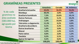 Fonte: Benchmarking Exagro 2017
Gramíneas Amazônia Cerrado M. Atlântica
Brachiaria brizantha 43,0% 56,9% 56,8%
Mombaça 30,4% 2,8% 0,9%
Brachiaria humidícola 7,3% 10,0% 10,1%
Outros Panicuns 0,0% 5,1% 19,2%
Andropogon 2,3% 10,0% 3,8%
Tolerantes a alagamento 11,3% 0,2% 0,0%
Brachiaria decumbens 0,1% 4,3% 4,5%
Outras brachiarias 1,0% 3,8% 1,7%
Massai 4,3% 1,0% 0,1%
Pasto nativo 0,0% 2,8% 1,2%
Tanzânia 0,2% 2,5% 1,1%
Outras forrageiras 0,2% 0,6% 0,7%
Total 100,0% 100,0% 100,0%
GRAMÍNEAS PRESENTES
% de cada
gramínea na
área avaliada
(583.000 ha),
agrupado por
bioma
 