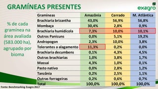Fonte: Benchmarking Exagro 2017
Gramíneas Amazônia Cerrado M. Atlântica
Brachiaria brizantha 43,0% 56,9% 56,8%
Mombaça 30,4% 2,8% 0,9%
Brachiaria humidícola 7,3% 10,0% 10,1%
Outros Panicuns 0,0% 5,1% 19,2%
Andropogon 2,3% 10,0% 3,8%
Tolerantes a alagamento 11,3% 0,2% 0,0%
Brachiaria decumbens 0,1% 4,3% 4,5%
Outras brachiarias 1,0% 3,8% 1,7%
Massai 4,3% 1,0% 0,1%
Pasto nativo 0,0% 2,8% 1,2%
Tanzânia 0,2% 2,5% 1,1%
Outras forrageiras 0,2% 0,6% 0,7%
Total 100,0% 100,0% 100,0%
GRAMÍNEAS PRESENTES
% de cada
gramínea na
área avaliada
(583.000 ha),
agrupado por
bioma
 