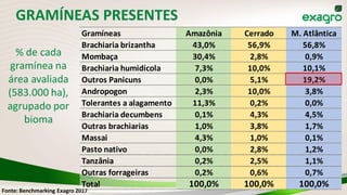 Fonte: Benchmarking Exagro 2017
Gramíneas Amazônia Cerrado M. Atlântica
Brachiaria brizantha 43,0% 56,9% 56,8%
Mombaça 30,4% 2,8% 0,9%
Brachiaria humidícola 7,3% 10,0% 10,1%
Outros Panicuns 0,0% 5,1% 19,2%
Andropogon 2,3% 10,0% 3,8%
Tolerantes a alagamento 11,3% 0,2% 0,0%
Brachiaria decumbens 0,1% 4,3% 4,5%
Outras brachiarias 1,0% 3,8% 1,7%
Massai 4,3% 1,0% 0,1%
Pasto nativo 0,0% 2,8% 1,2%
Tanzânia 0,2% 2,5% 1,1%
Outras forrageiras 0,2% 0,6% 0,7%
Total 100,0% 100,0% 100,0%
GRAMÍNEAS PRESENTES
% de cada
gramínea na
área avaliada
(583.000 ha),
agrupado por
bioma
 