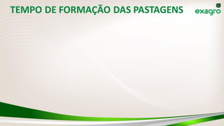 TEMPO DE FORMAÇÃO DAS PASTAGENS
 