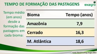 TEMPO DE FORMAÇÃO DAS PASTAGENS
Bioma Tempo (anos)
Amazônia 7,9
Cerrado 16,3
M. Atlântica 18,6
Tempo médio
(em anos)
desde a
formação das
pastagens em
cada bioma:
Fonte: Benchmarking Exagro 2017
 