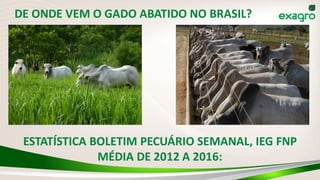ESTATÍSTICA BOLETIM PECUÁRIO SEMANAL, IEG FNP
MÉDIA DE 2012 A 2016:
DE ONDE VEM O GADO ABATIDO NO BRASIL?
 