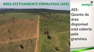 ÁREA EFETIVAMENTE EMPASTADA (AEE)
AEE:
Quanto da
área
disponível
está coberta
pela
gramínea
 