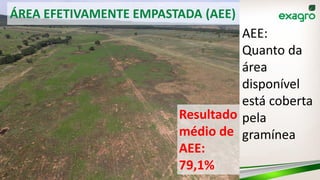 ÁREA EFETIVAMENTE EMPASTADA (AEE)
AEE:
Quanto da
área
disponível
está coberta
pela
gramínea
Resultado
médio de
AEE:
79,1%
 