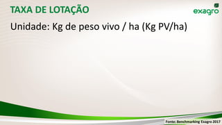 TAXA DE LOTAÇÃO
Unidade: Kg de peso vivo / ha (Kg PV/ha)
Fonte: Benchmarking Exagro 2017
 