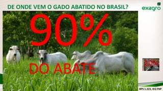 DO ABATE 10%
BPS 1.223, IEG FNP
DE ONDE VEM O GADO ABATIDO NO BRASIL?
 