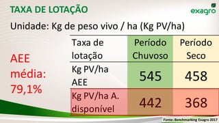 TAXA DE LOTAÇÃO
Unidade: Kg de peso vivo / ha (Kg PV/ha)
Taxa de
lotação
Período
Chuvoso
Período
Seco
Kg PV/ha
AEE 545 458
Kg PV/ha A.
disponível 442 368
AEE
média:
79,1%
Fonte: Benchmarking Exagro 2017
 